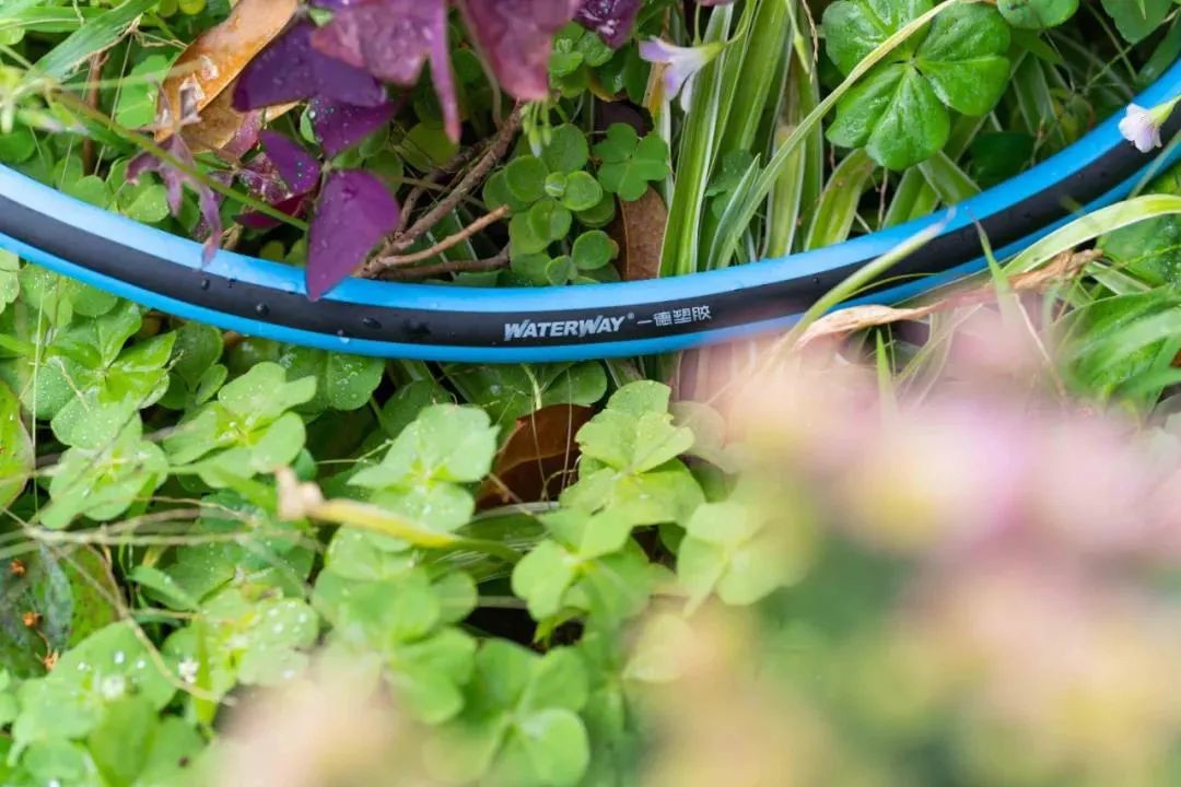 一德塑胶专利产品：天之蓝高弹花园软管