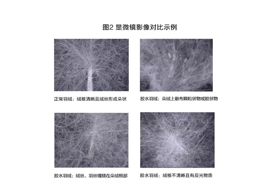 五防面料羽绒服测试,狼爪羽绒服测试