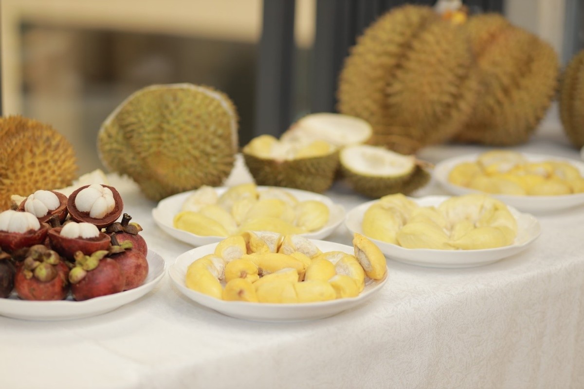 泰国榴莲未来5年前景,泰国榴莲进口中国需要多少钱关税