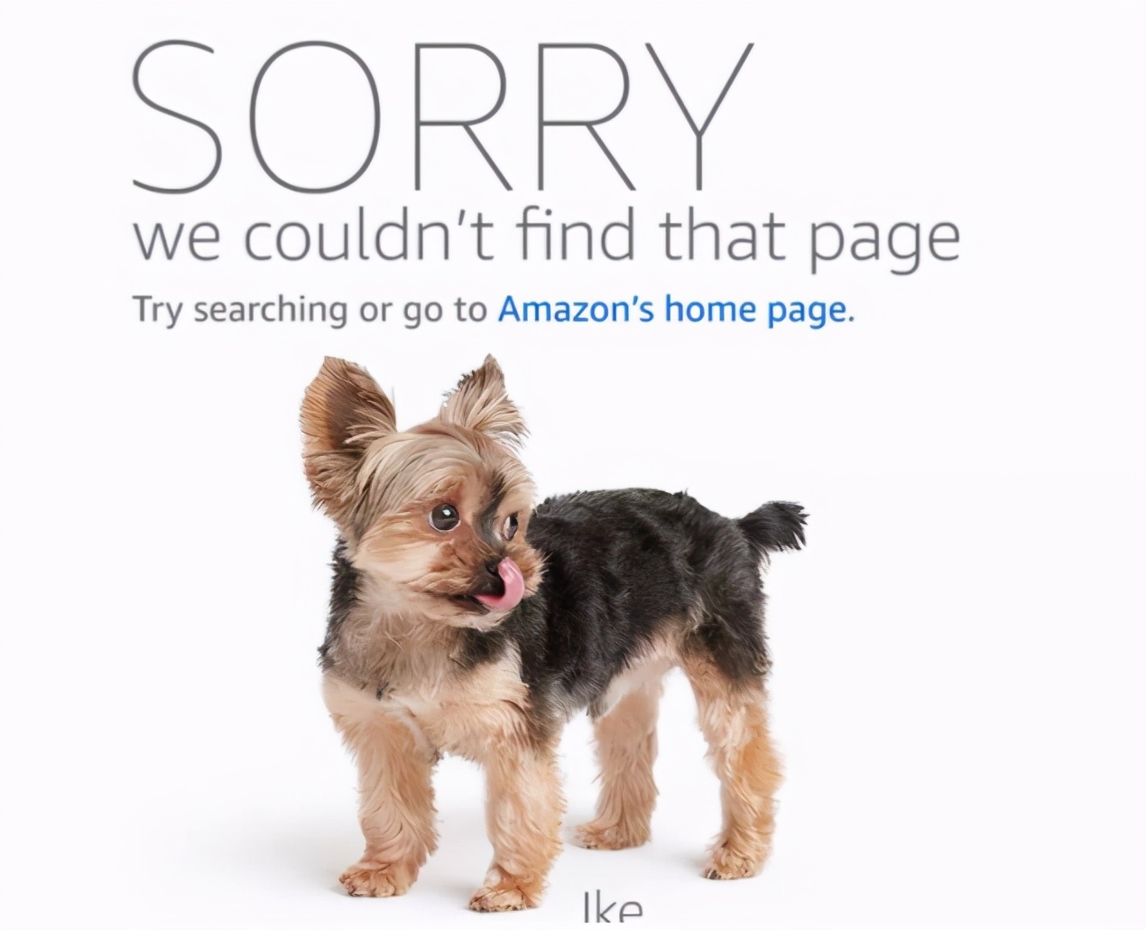 璺ㄥ鐢靛晢鍒峰崟澶勭綒,璺ㄥ鐢靛晢鍗栧琚綒浜嬩欢