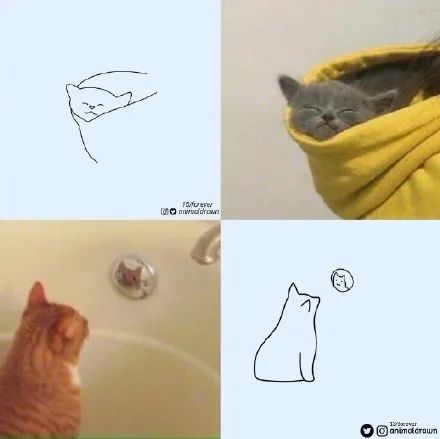 你和大触绘画的区别：一看就会一画就废，这波动物简笔画太形象了