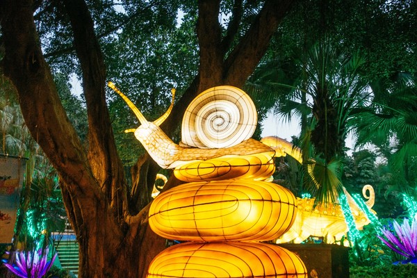 广州长隆旅游攻略自由行详细,广州长隆五一节3天2夜亲子游攻略