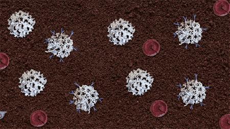 医学证明：翔不仅能吃，还可以治病