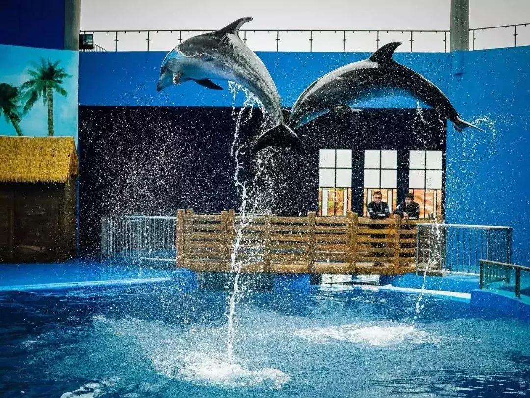 昆明石林景区值得去吗,昆明石林精华景点