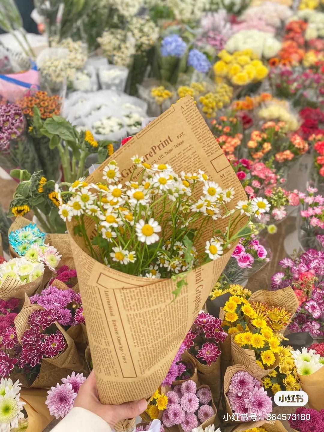 成都的花市批发市场在哪里,成都花市合集