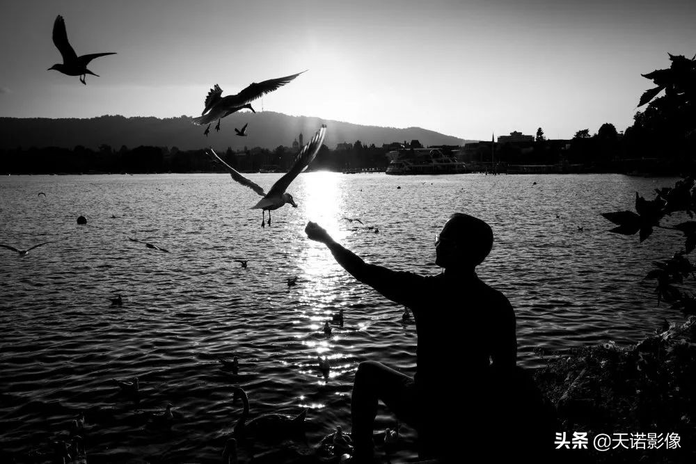 徕卡哈苏直出对比,徕卡哈苏蔡司排名