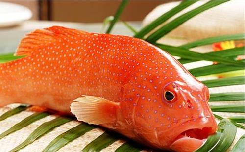 社群营销从零开始实战,社群营销及运营实战