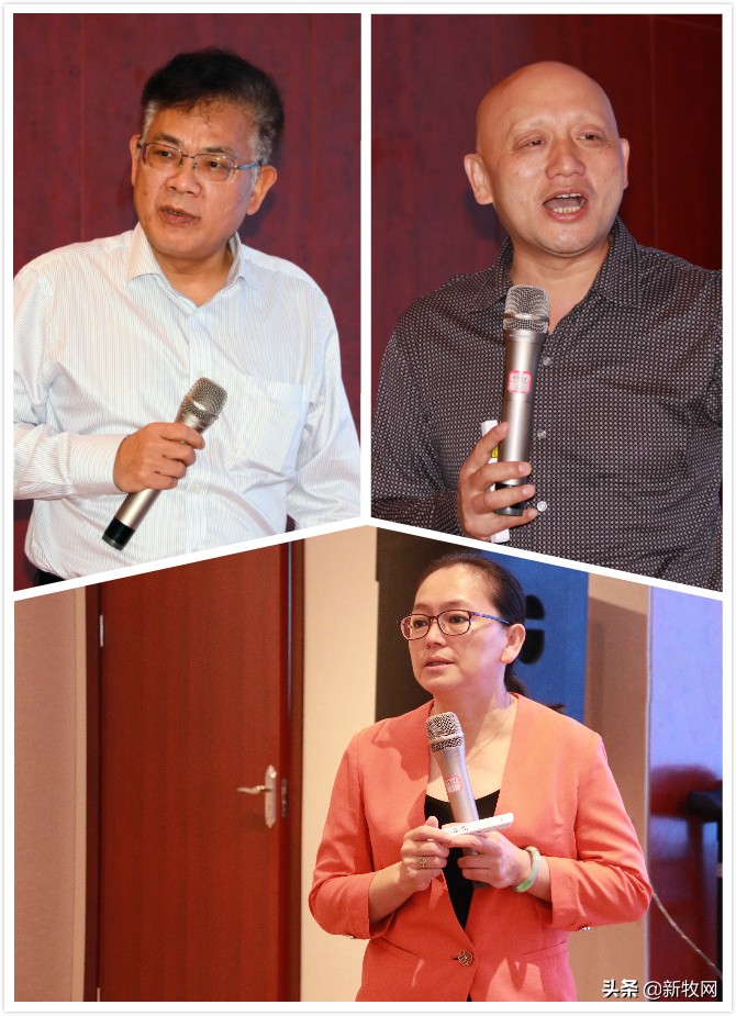 中原农保助力生猪行业稳产保供,助力春耕高质量增产量