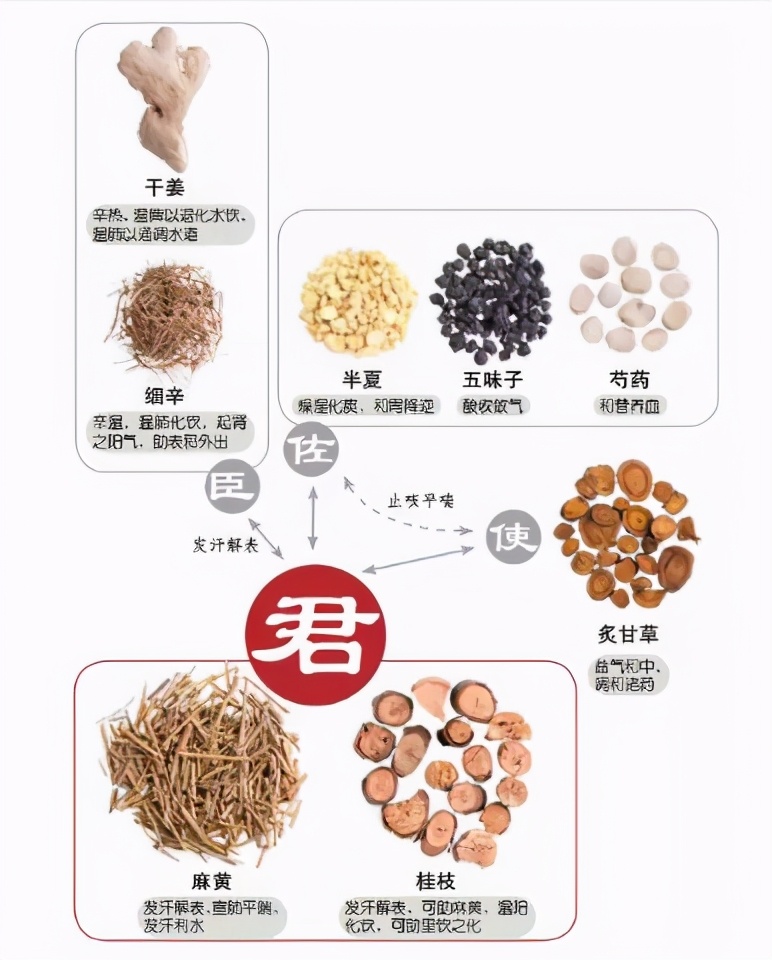 张元素的100个用法,张元素确定脏腑辨证用药体系