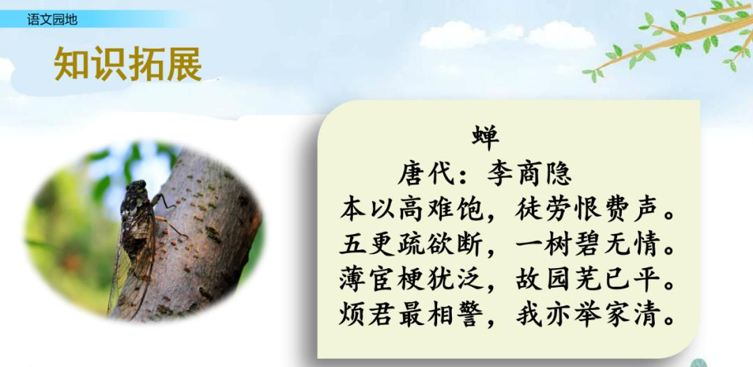 五年级上册语文园地八讲解课件ppt,部编五年级语文上册必考知识点