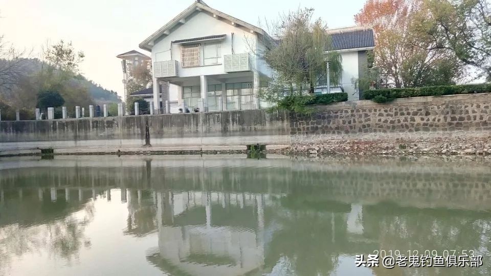 老船塘作钓，用鬼饵体验惊喜