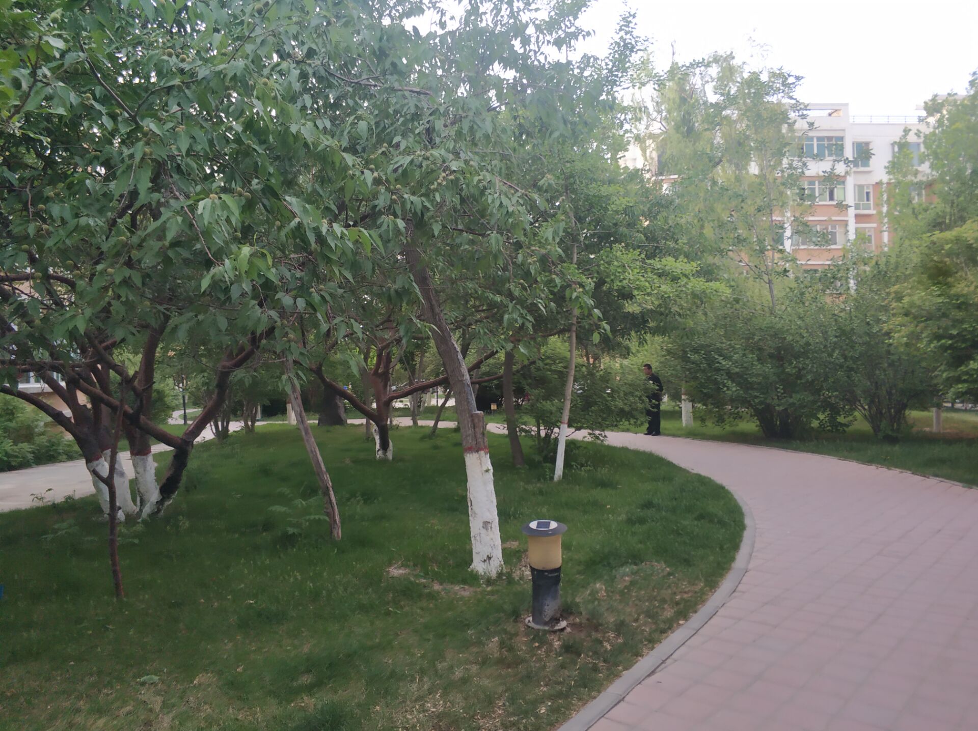 华美文轩乌鲁木齐,华美文轩家园乌鲁木齐