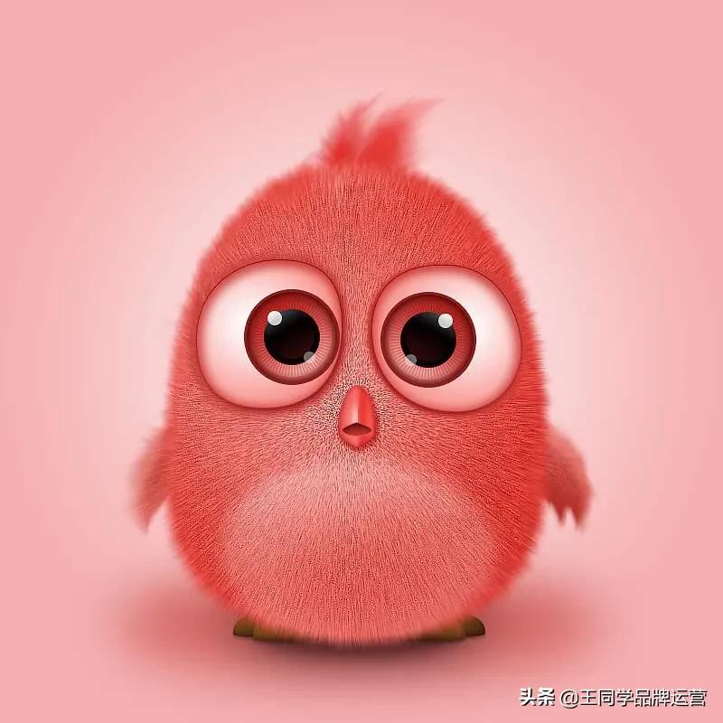 万物皆可创业版,万物皆可努力挣钱