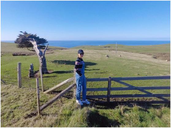 新西兰南岛人间净土,新西兰南岛世界尽头