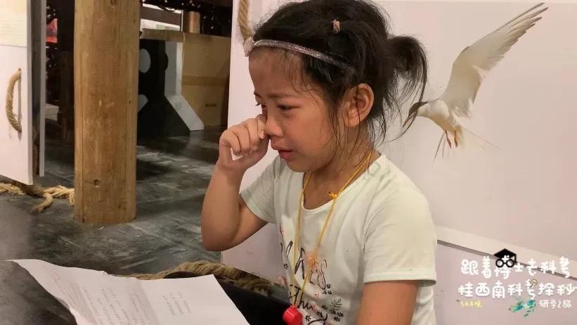 活了两千多年的“巨无霸”就在广西!昨天,他们相遇了