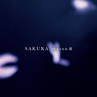 日本小众首饰樱花款,新年必入的首饰种草