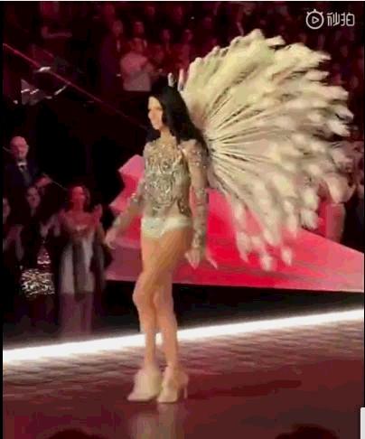 世界超模维密走秀图集,维密超模刘雯图集