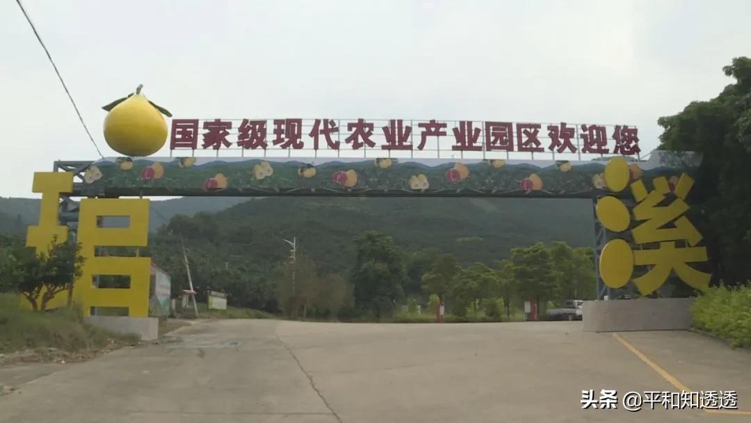 公益直播带货，爱心助农增收