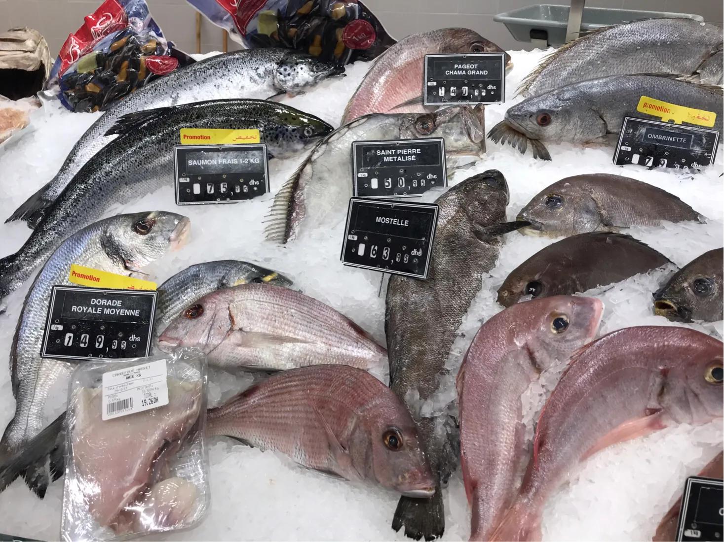 干炸沙丁鱼做法,香煎沙丁鱼做法