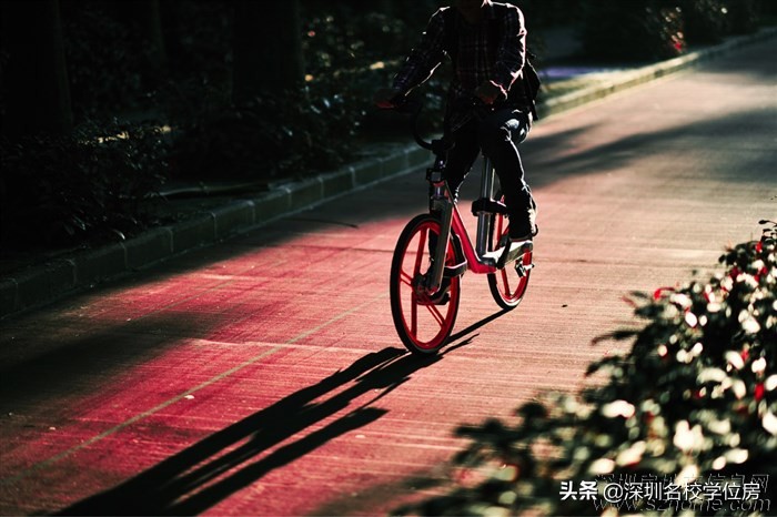 上了信用黑名单的怎么解除,上银行黑名单怎么可以取消