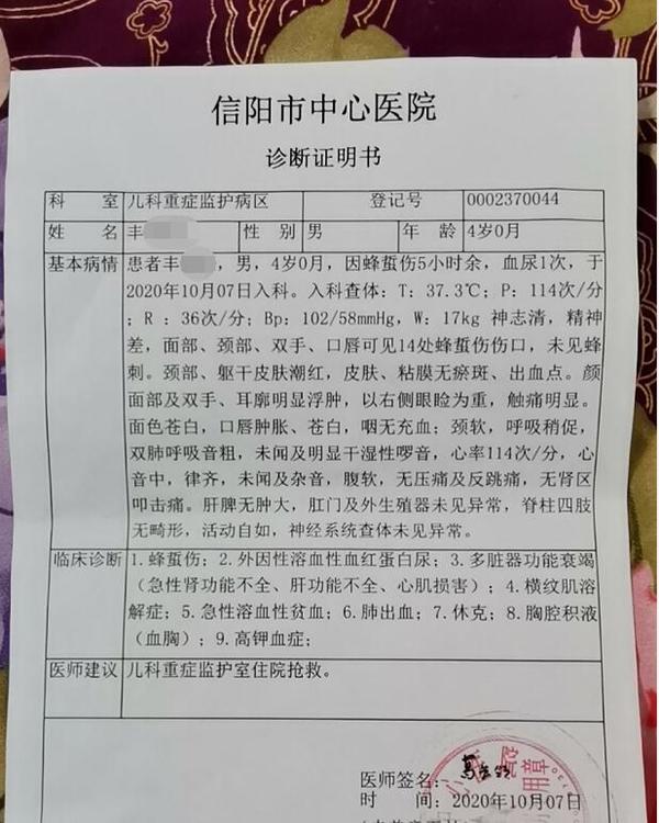 河南4岁男童被骷髅蜂蜇伤,男童被蜂蜇伤50多次