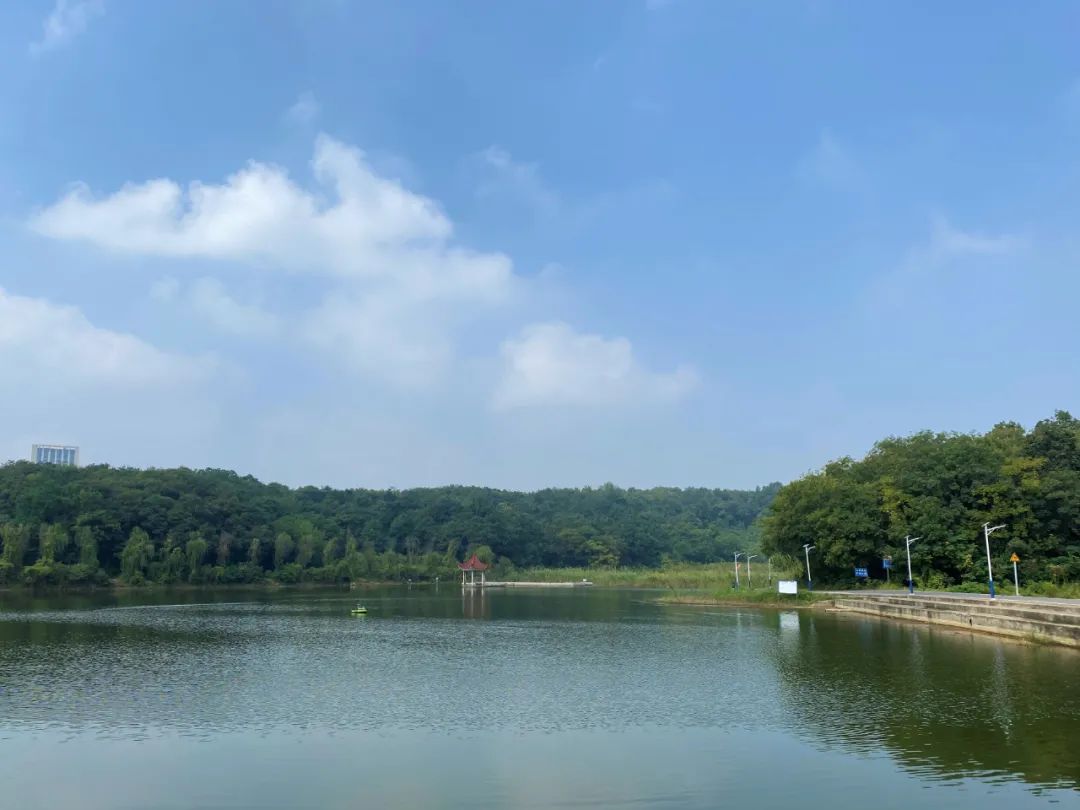 华丽转身木鱼商圈,华丽转身成生态绿廊