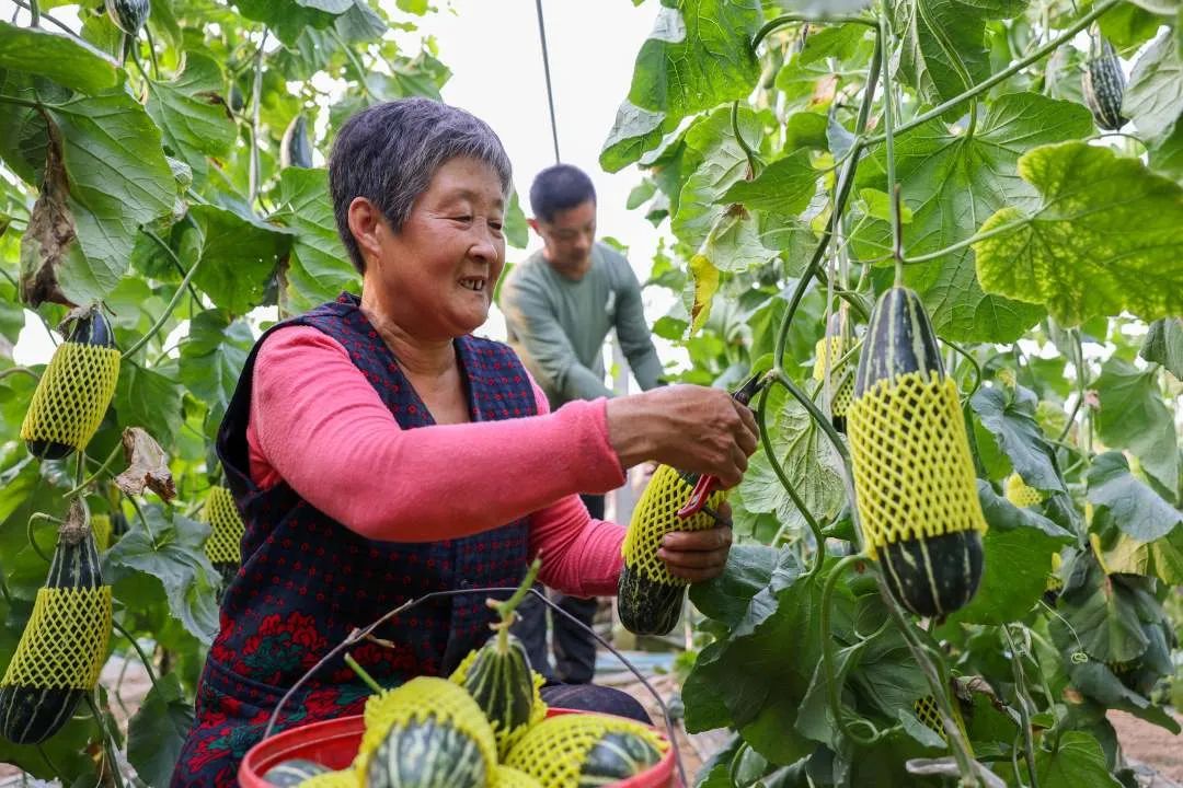 我为群众办实事怎样加强舆论宣传,我为群众办实事新媒体