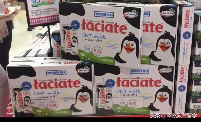 萃欧资讯：上海进博会，拉近中国和波兰的距离，中波投资新机遇