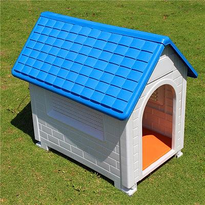 养狗新手入门必备知识,养狗知识大百科入门篇