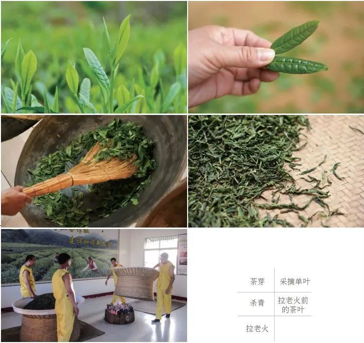 炎炎夏日喝点什么茶好,夏日暑湿喝什么茶最好养生