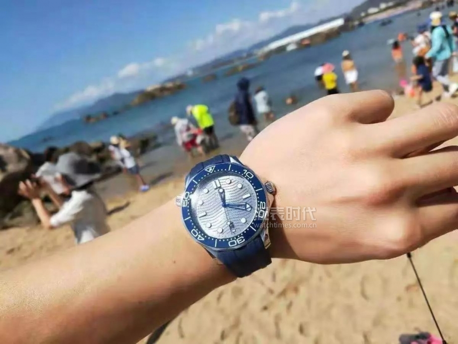 今年我买了个表之表友图鉴