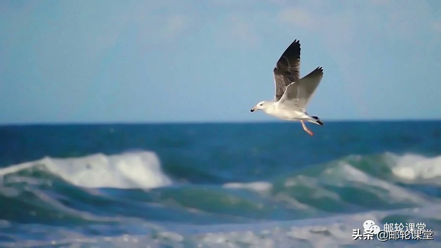 温州哪里可以坐轮船出海,游轮温州出发路线推荐