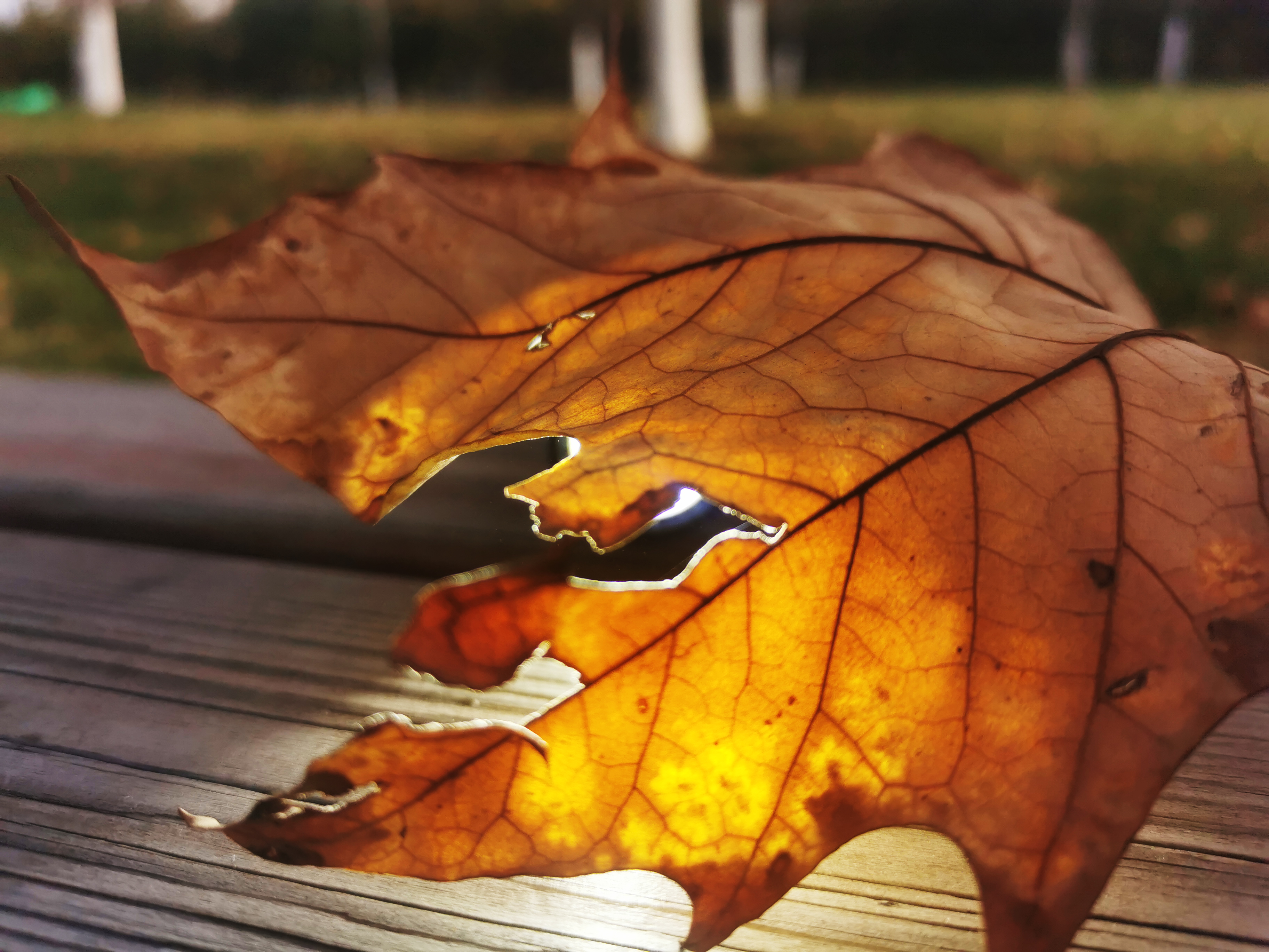 户外手电也能杀菌?FenixLD32手电化身成为抗疫EDC