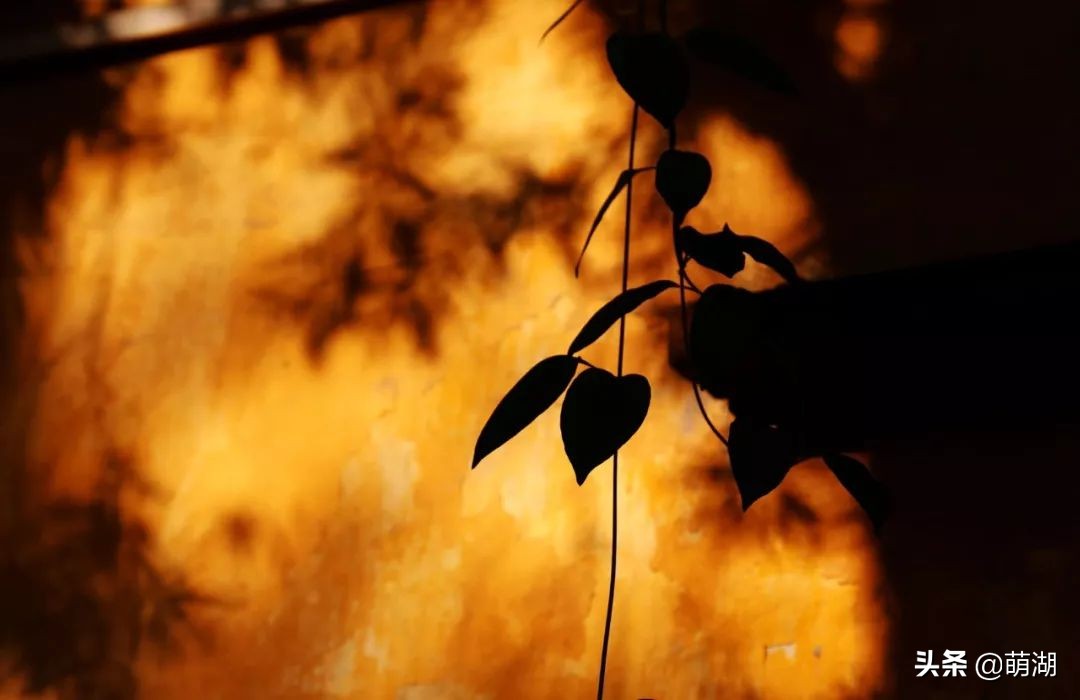 10年红专厂│广州文艺青年的圣地，在一步步远去