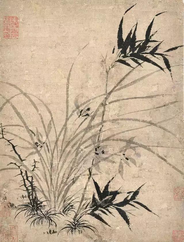 最漂亮的24尺写意兰花图片,最全历代名家兰花图看了还想再看