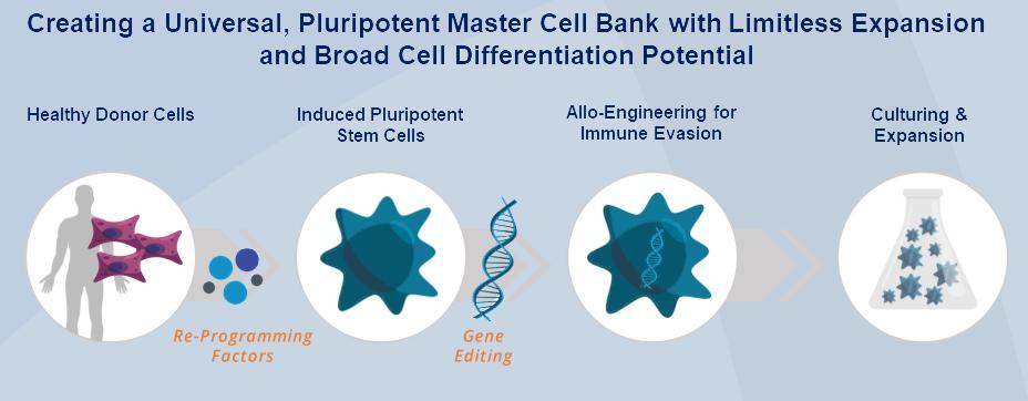 罗氏中医调理癌症,国产pd1治疗膀胱癌新药