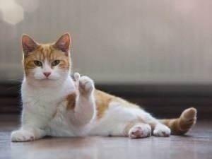 自用亲测好物推荐,无限回购的护肤品空瓶