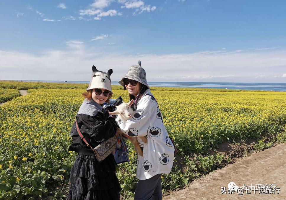 青海湖旅游景点线路推荐图手绘,青海湖景点游玩攻略图
