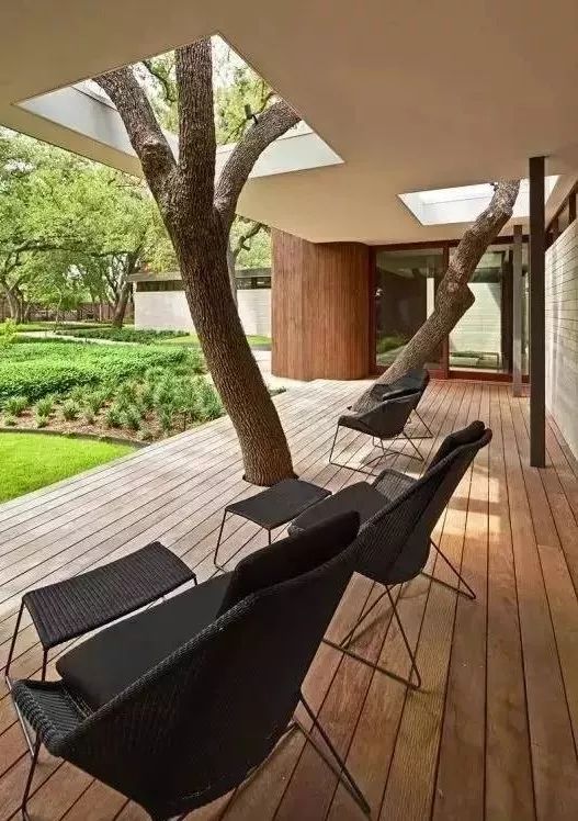 室内做的景观,室内景观打造过程