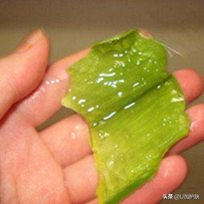 芦荟100种使用方法,芦荟的10个小妙招