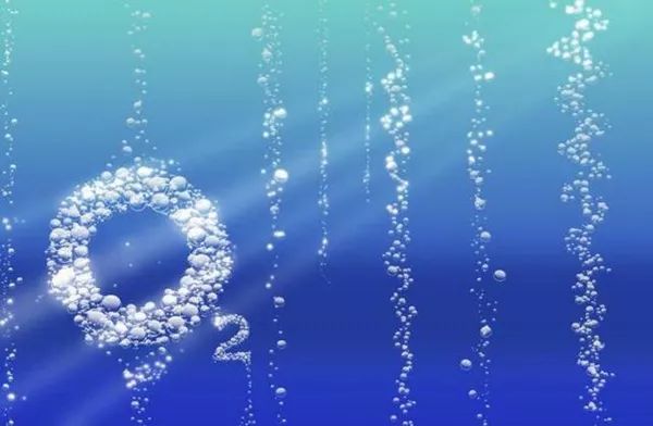 这是10月最大的谣言！最后一条已经骗了我们几年了！