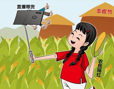 农村互联网养殖创业政策,互联网农民致富