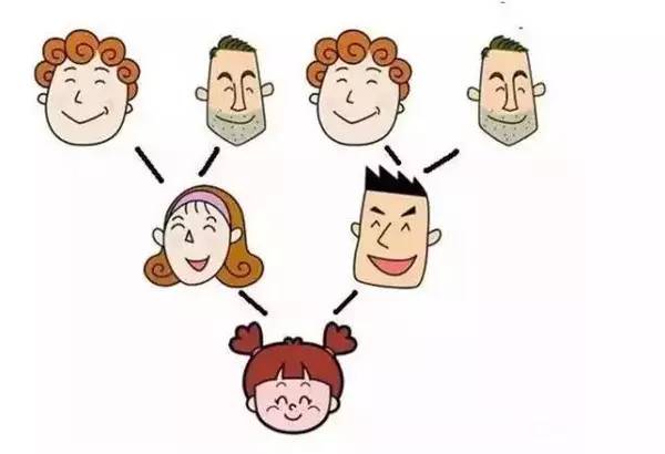 结构化家庭疗法的创立时间,结构式家庭疗法