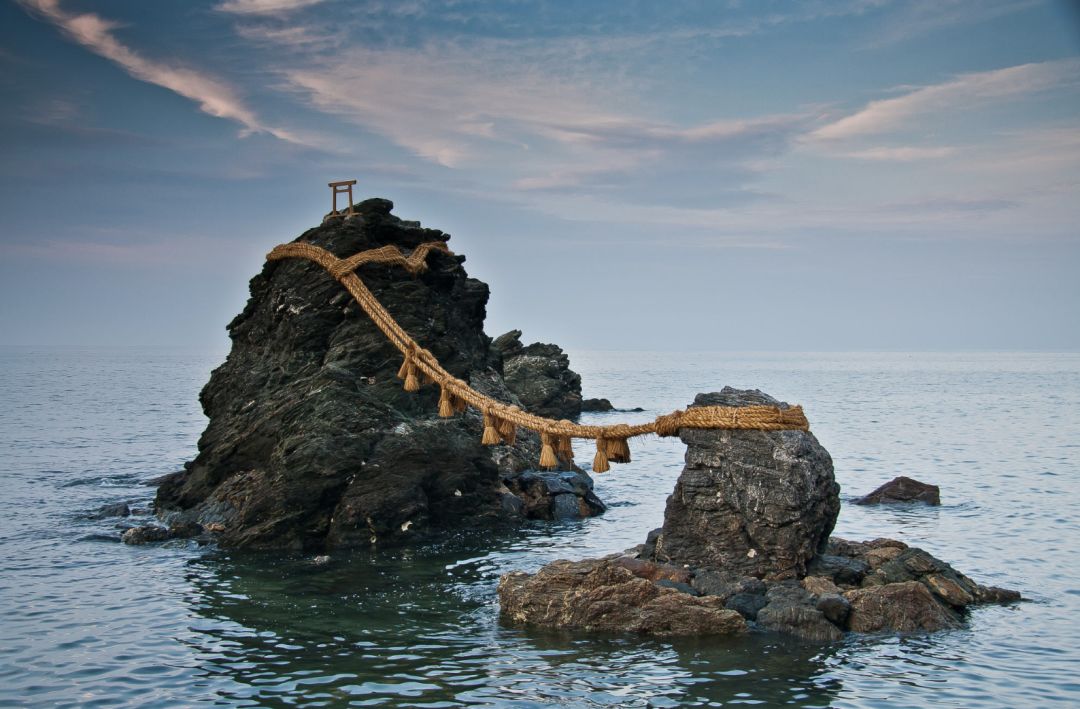 航司特惠机票日,航司直销机票