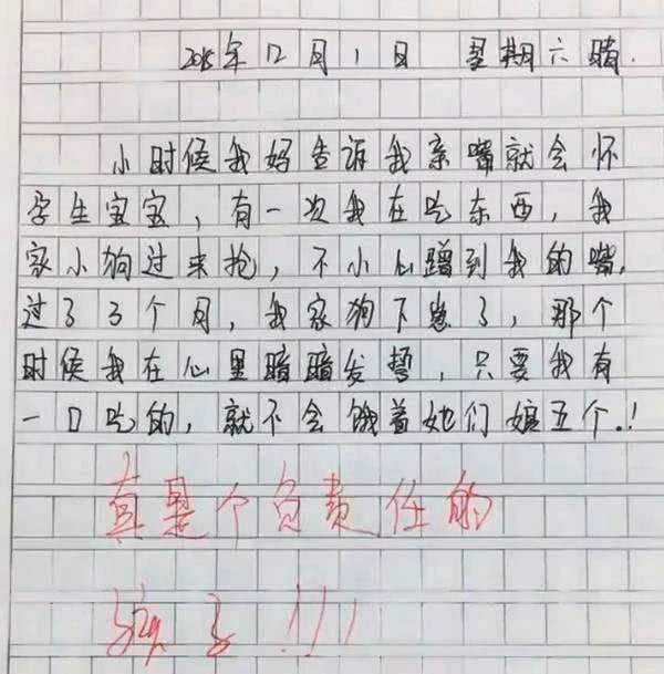 小学生作文委屈走红,小学生作文火了老师称其责任感强