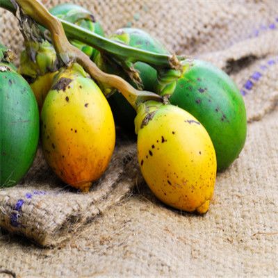 紫东苑长沙,长沙紫东园的风云人物