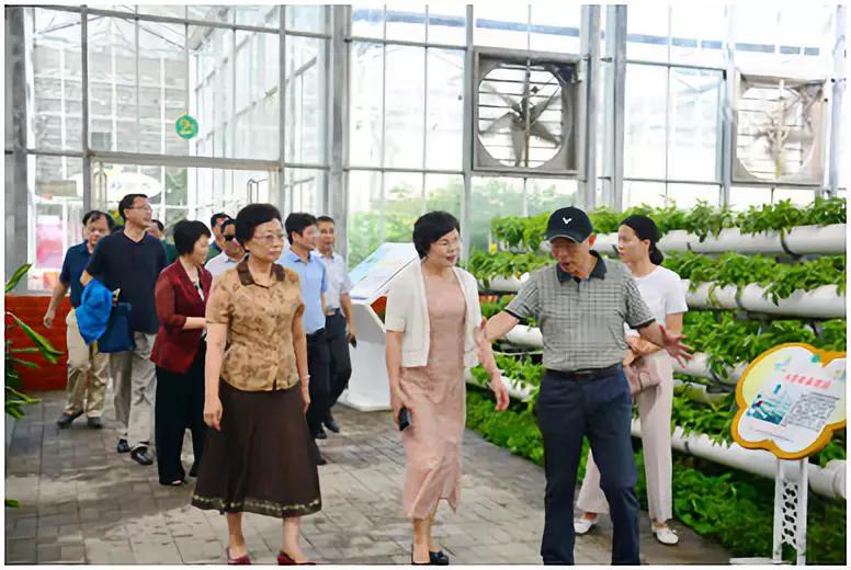 中农富玉大事记,中农富玉未来发展趋势