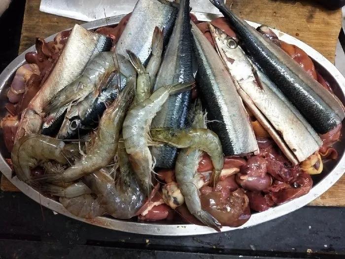 自制冷冻饵实战效果,罗非自制冻饵用什么收水