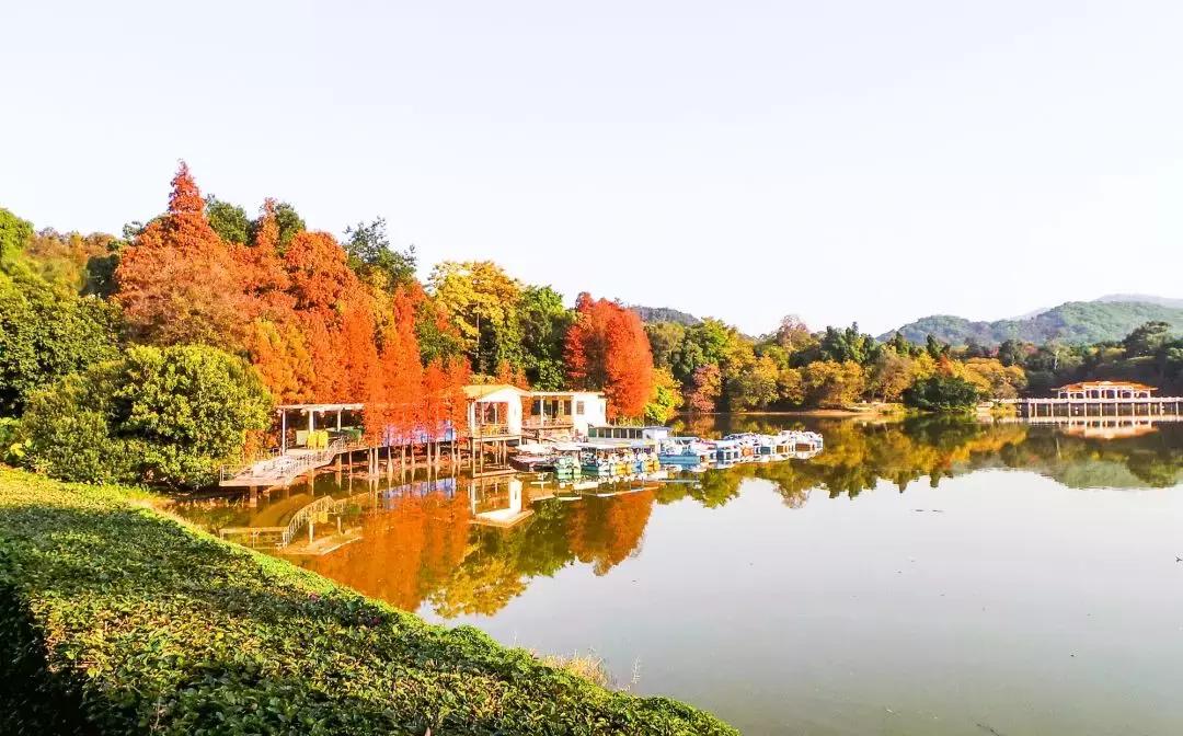 广州白云山什么时候开始改造,广州白云山现在能开上去吗