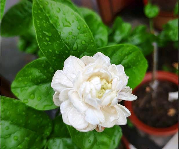 <html>
<head><title>502BadGateway</title></head>
<body>
<center><h1>502BadGateway</h1></center>
<hr><center>nginx</center>
</body>
</html>
<!--apaddingtodisableMSIEandChromefriendlyerrorpage-->
<!--apaddingtodisableMSIEandChromefriendlyerrorpage-->
<!--apaddingtodisableMSIEandChromefriendlyerrorpage-->
<!--apaddingtodisableMSIEandChromefriendlyerrorpage-->
<!--apaddingtodisableMSIEandChromefriendlyerrorpage-->
<!--apaddingtodisableMSIEandChromefriendlyerrorpage-->
